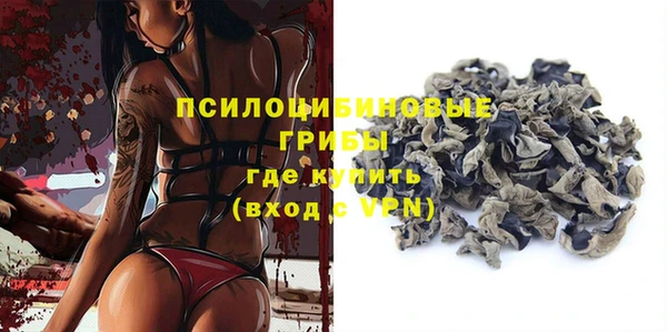 соль ск Медвежьегорск