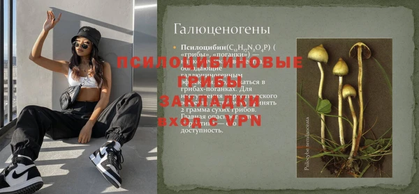 спиды Медногорск