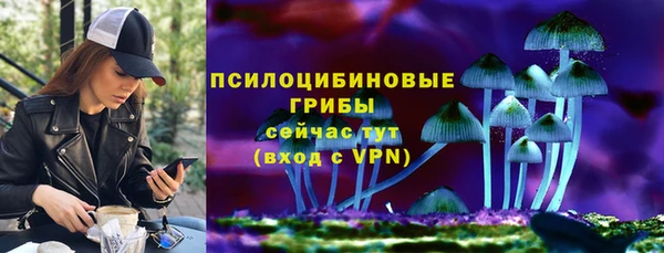 ECSTASY Алексеевка
